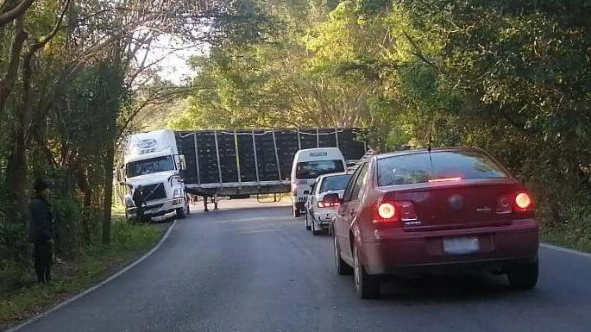 TRÁILER CON POLLOS 1